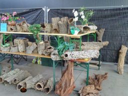 Haustiermesse am 1.03.2026